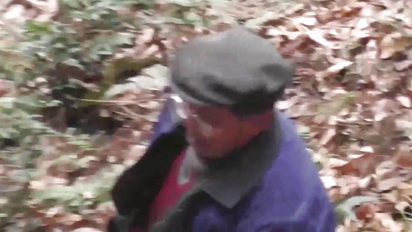 新的青少年男性的视频森林她肥皂沫了我的猫