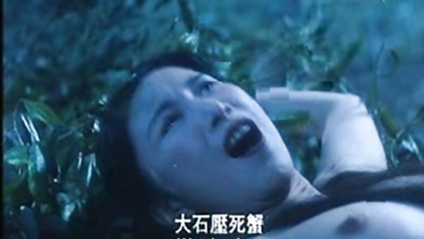 使用裸体色情的同性恋热色情网站的超级明星